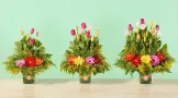 Tulipanes